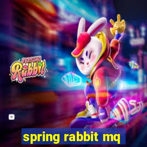 spring rabbit mq